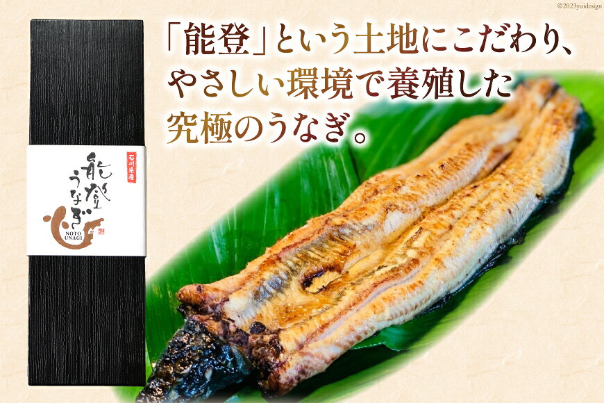 【ふるさと納税】 能登うなぎ 白焼 [ティ・エス・ピィ 石川県 志賀町 BZ4004] うな...