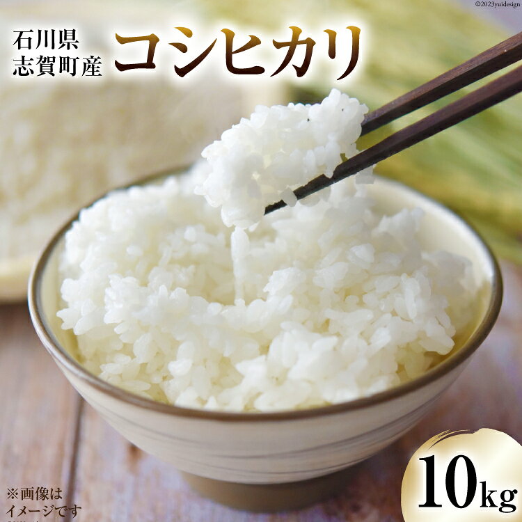 [令和8年産]米 コシヒカリ 10kg [トミヨの里 石川県 志賀町 CB4031] お米 こしひかり おこめ こめ コメ 精米 白米 ご飯 ごはん ゴハン 10キロ