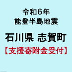 【ふるさと納税】令和6年 能登半島地震 支援寄附金 1,000円 返礼品なし [石川県 志賀町 ZZ0001] 災害支援 被災地支援