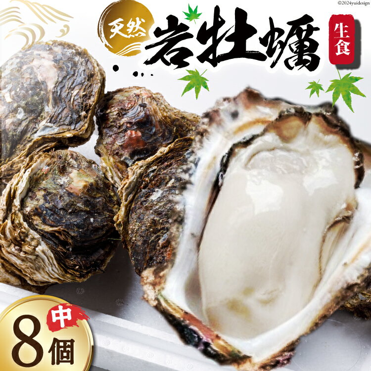 [期間限定発送]ヨコタ礁天然岩牡蠣(生食用)中8個 [望海 石川県 志賀町 BX4016] 岩牡蠣 岩ガキ 岩がき 牡蠣 カキ 期間限定
