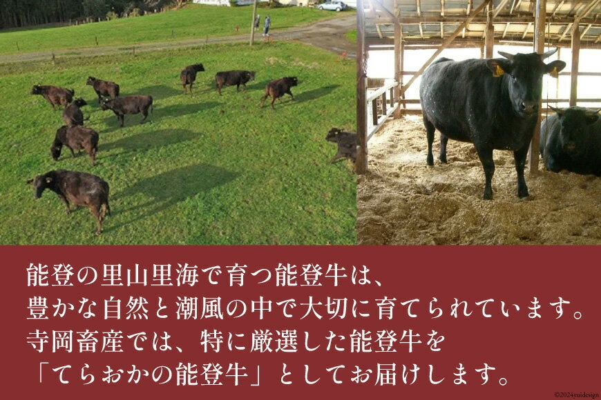 いいお肉は、香りとコクが違います！　【ふるさと納税】 牛 ロース 選べる容量 【てらおかの能登牛】 能登牛 (4〜5等級) すき焼き用 300〜600g [てらおか風舎（寺岡畜産株式会社） 石川県 志賀町 AA8004] すき焼き てらおか 鍋