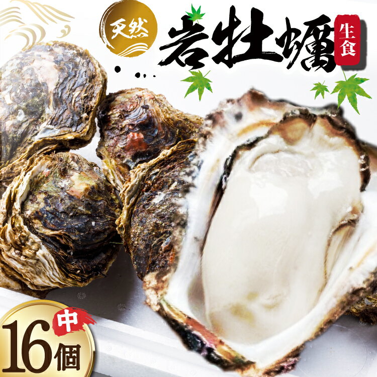 【ふるさと納税】 【期間限定発送】 ヨコタ礁 天然 岩牡蠣 生食用 中 16個 [望海 石川県 志賀町 BX4018] 岩牡蠣 岩ガキ 岩がき 牡蠣 カキ