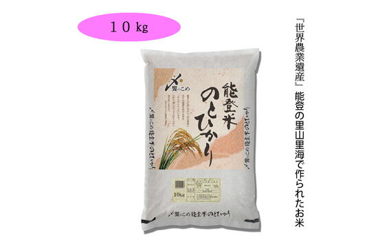 【ふるさと納税】米 10kg 能登米 のとひかり 令和4年 [2022年9月から順次出荷] 精米 白米 / 中橋商事 / 石川県 宝達志水町