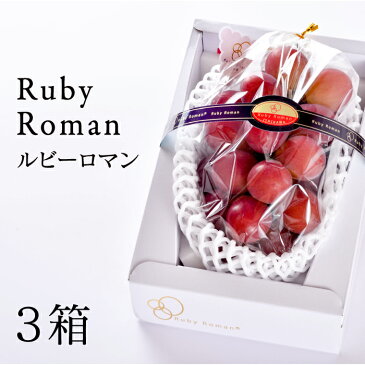 【ふるさと納税】No.217 化粧箱入りルビーロマン 3房 / ぶどう ブドウ 葡萄 高級 フルーツ 果物 石川県