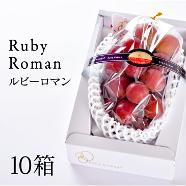 【ふるさと納税】No.219 化粧箱入りルビーロマン 10房 / ぶどう ブドウ 葡萄 高級 フルーツ 果物 石川県