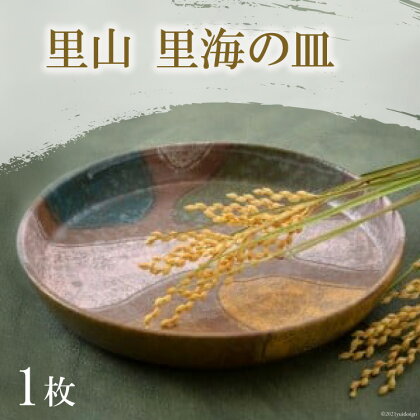 陶器 皿 里山 里海の皿 [之乎路窯 石川県 宝達志水町 38600527] お皿 おしゃれ 個性的 食器 トースト 陶芸作家