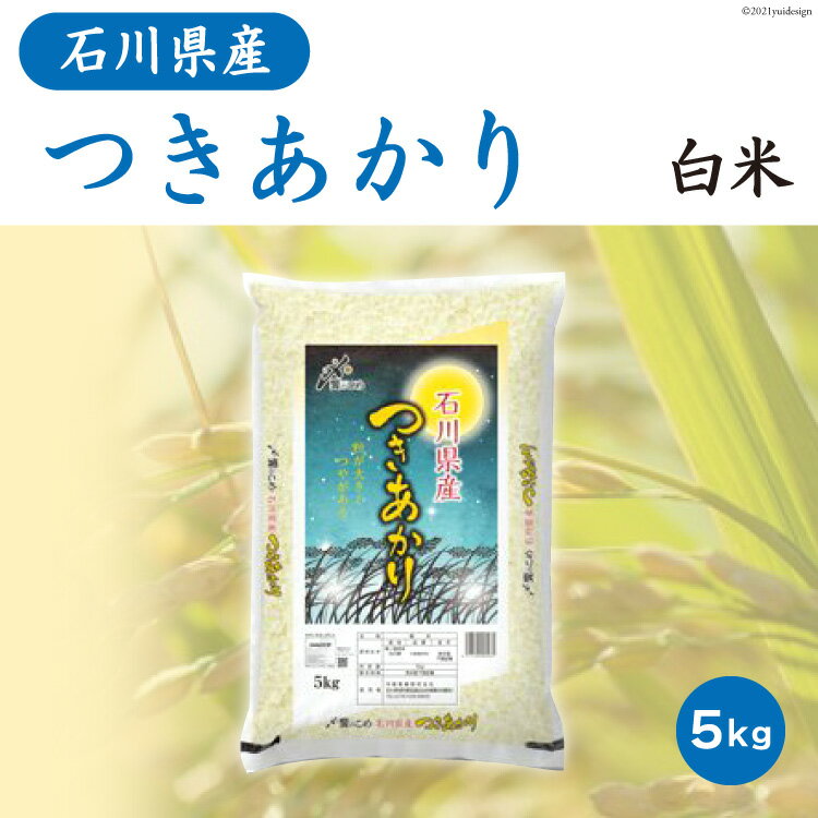 記事ID36539のサムネイル画像