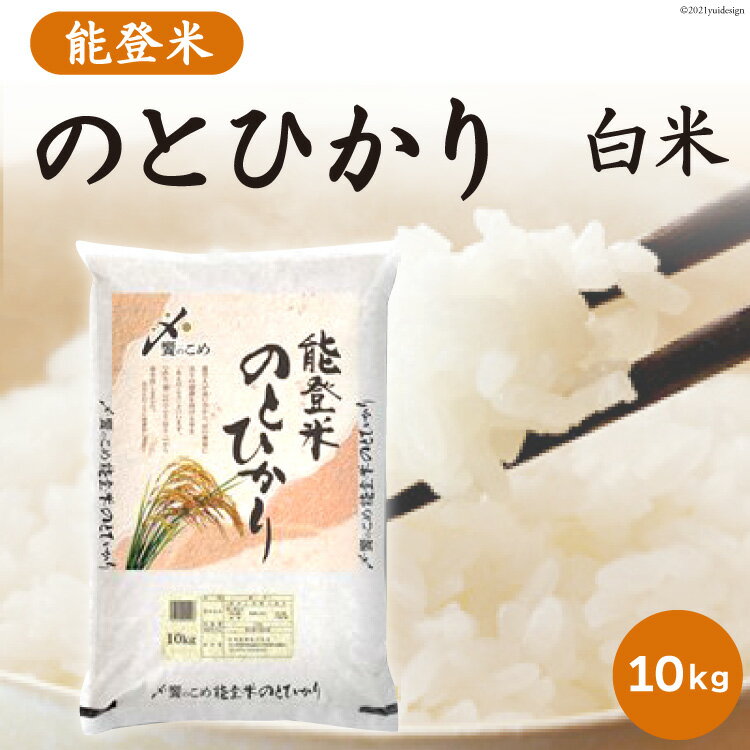 【ふるさと納税】米 10kg 能登米 のとひかり 令和4年 [2022年9月から順次出荷] 精米 白米 / 中橋商事 / 石川県 宝達志水町