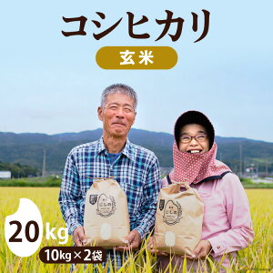 【ふるさと納税】先行予約 令和5年 コシヒカリ 玄米10kg×2 / 農家にしの / 石川県 宝達志水町 [38600238] 米 お米 ご飯 ごはん