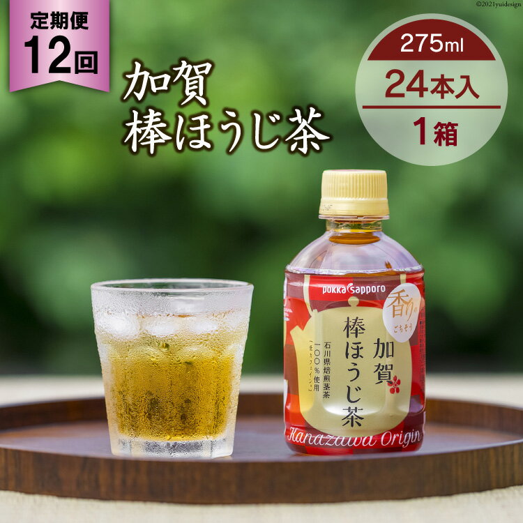 【ふるさと納税】 12回 定期便 お茶 ペットボトル 加賀 