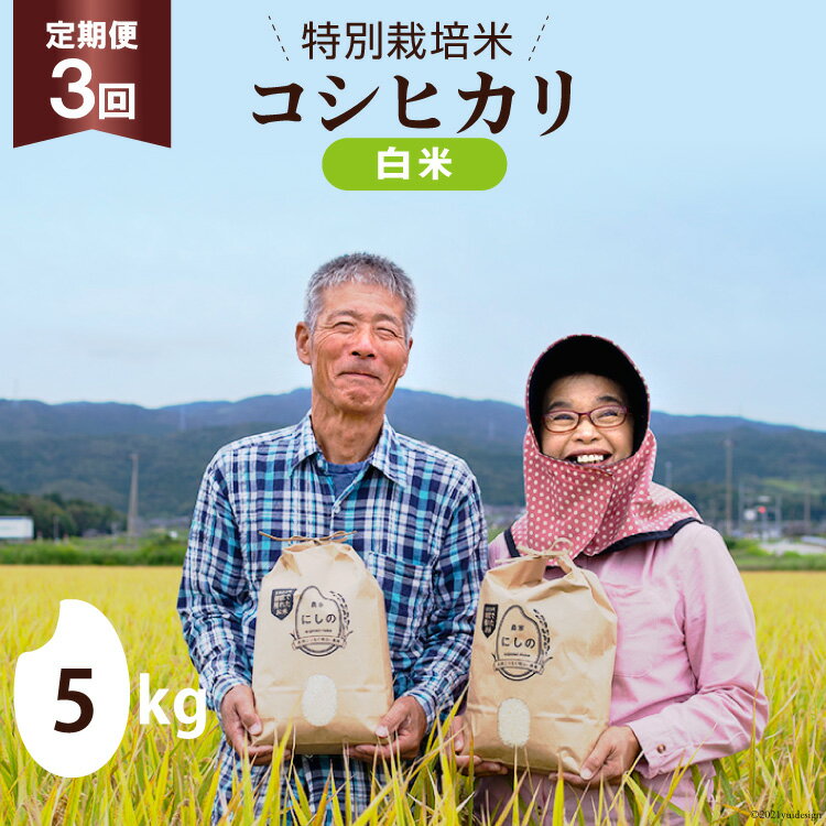 【ふるさと納税】3回定期便 特別栽培米 コシヒカリ [ 白米 ] 5kg×3回 / 農家にしの / 石川県 宝達志水町