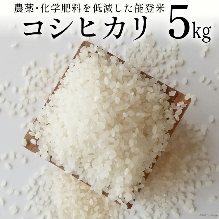 [先行受付]米 令和6年 能登米 コシヒカリ 精米 5kg [みどりの波 石川県 宝達志水町 38600567] お米 ごはん 白米 こしひかり 美味しい