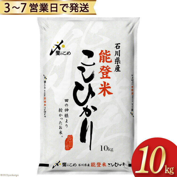 【ふるさと納税】米 令和5年 能登米 こしひかり 精米 10kg 1袋 [中橋商事 石川県 宝達志水町 38600547] お米 白米 ごはん 美味しい コシヒカリ