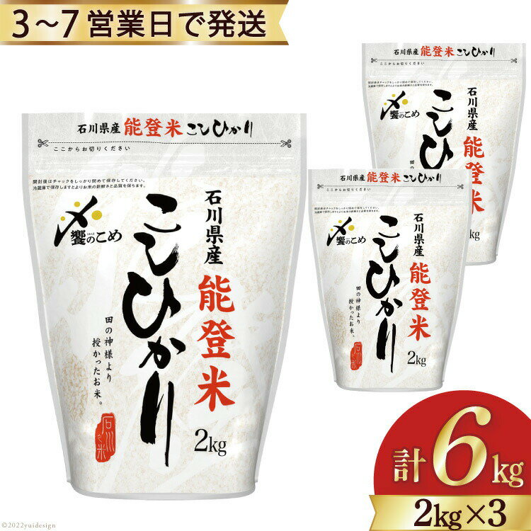 【ふるさと納税】米 令和5年 能登米 こしひかり 精米 2kg ×3袋 計 6kg [中橋商事 石川県 宝達志水町 38600585] お米 白米 ごはん 美味しい コシヒカリ 保存 チャック付き