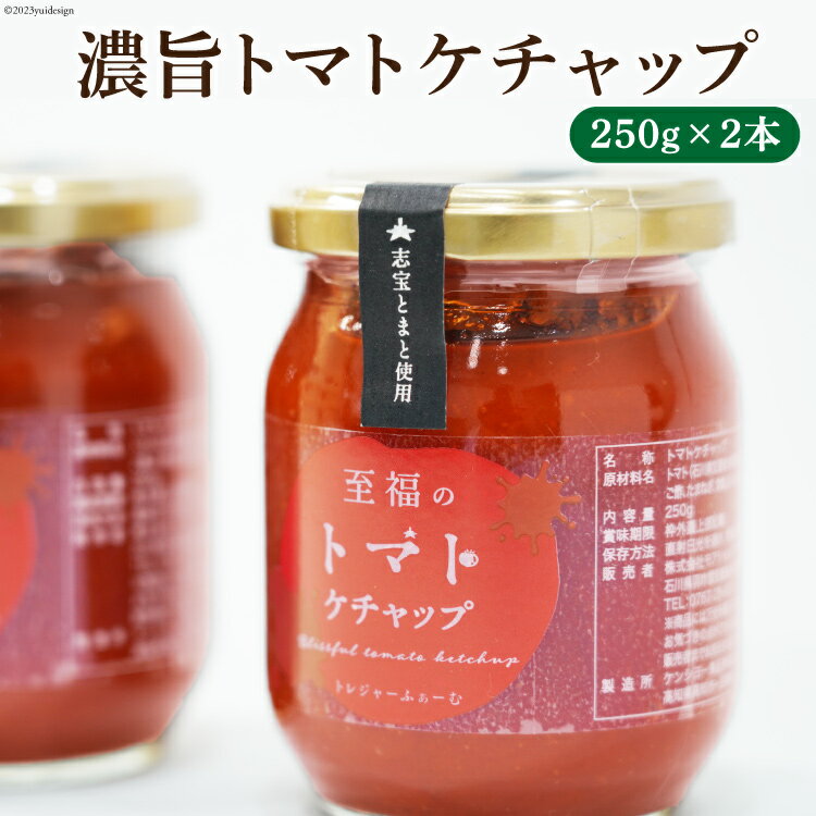 25位! 口コミ数「1件」評価「5」濃旨 トマトケチャップ 250g 2本 計500g [モアショップヤマモト 石川県 宝達志水町 38600502] ケチャップ とまと トマ･･･ 