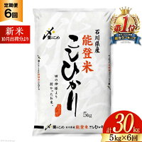 【ふるさと納税】 定期便 米 能登米 こしひかり 5kg ×6回 総計30kg [中橋商事 石川県 宝達志水町 38600408] コシヒカリ お米 おこめ こめ コメ 精米 ご飯 ごはん 白米 国産