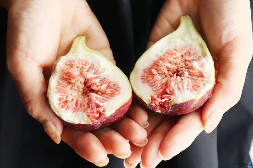 石川県宝達志水町の画像3