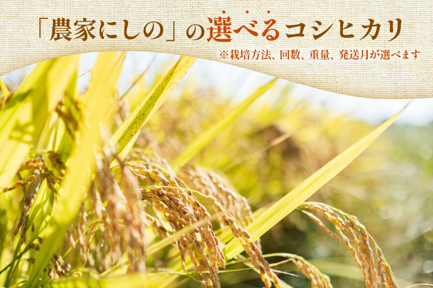 石川県宝達志水町の画像2