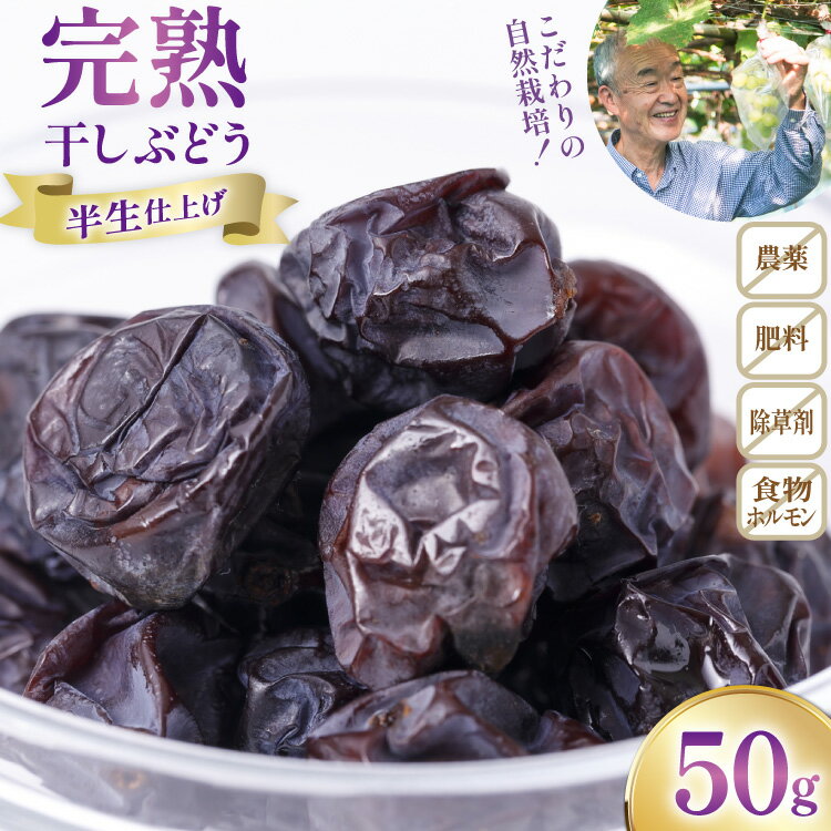 ドライフルーツ 自然栽培 完熟 干しぶどう マスカットベリーA セミドライ 50g 1袋 [砂山ぶどう園 石川県 宝達志水町 38601237] ドライ フルーツ くだもの 果物 葡萄 ぶどう ブドウ