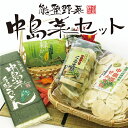 【ふるさと納税】スーパー野菜「中島菜」をふんだんに使った中島菜セット