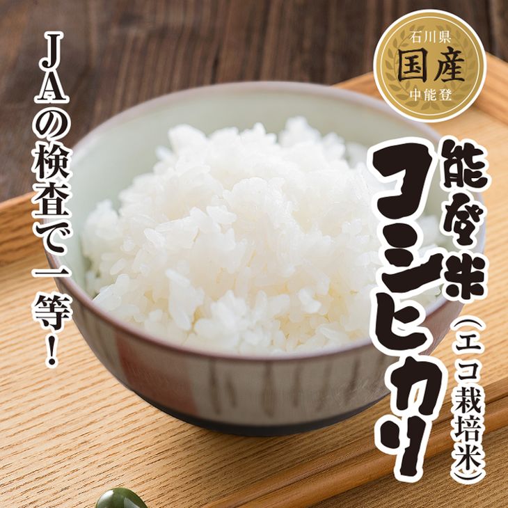 【ふるさと納税】安全・安心！美味しい中能登産 能登米コシヒカリ3kg×1