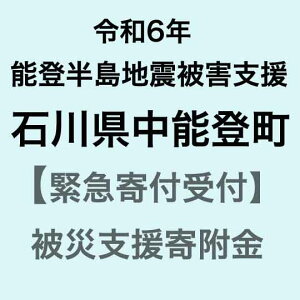 【ふるさと納税】【令和6年能登半島地震災害支援緊急寄附受付】石川県中能登町災害応援寄附金（返礼品はありません）