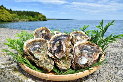 松村水産の岩牡蠣（加熱用）