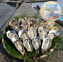 【ふるさと納税】能登穴水の牡蠣(ムキ身)