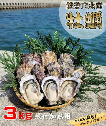 能登穴水の牡蠣（殻付）加熱用3kg