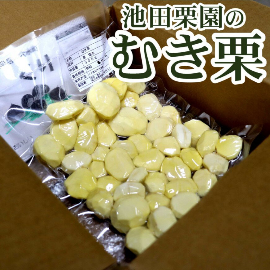 池田栗園の能登栗（むき栗）のサムネイル