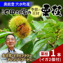 【ふるさと納税】【先行予約】季節の花材 栗枝 1本(約35~38cm)【2025年9月下旬以降順次発送】/ 奥能登 能登半島 フラワーアレンジ ブーケ 花束 生け花 華道 花 お花 能登栗 栗 くり 送料無料