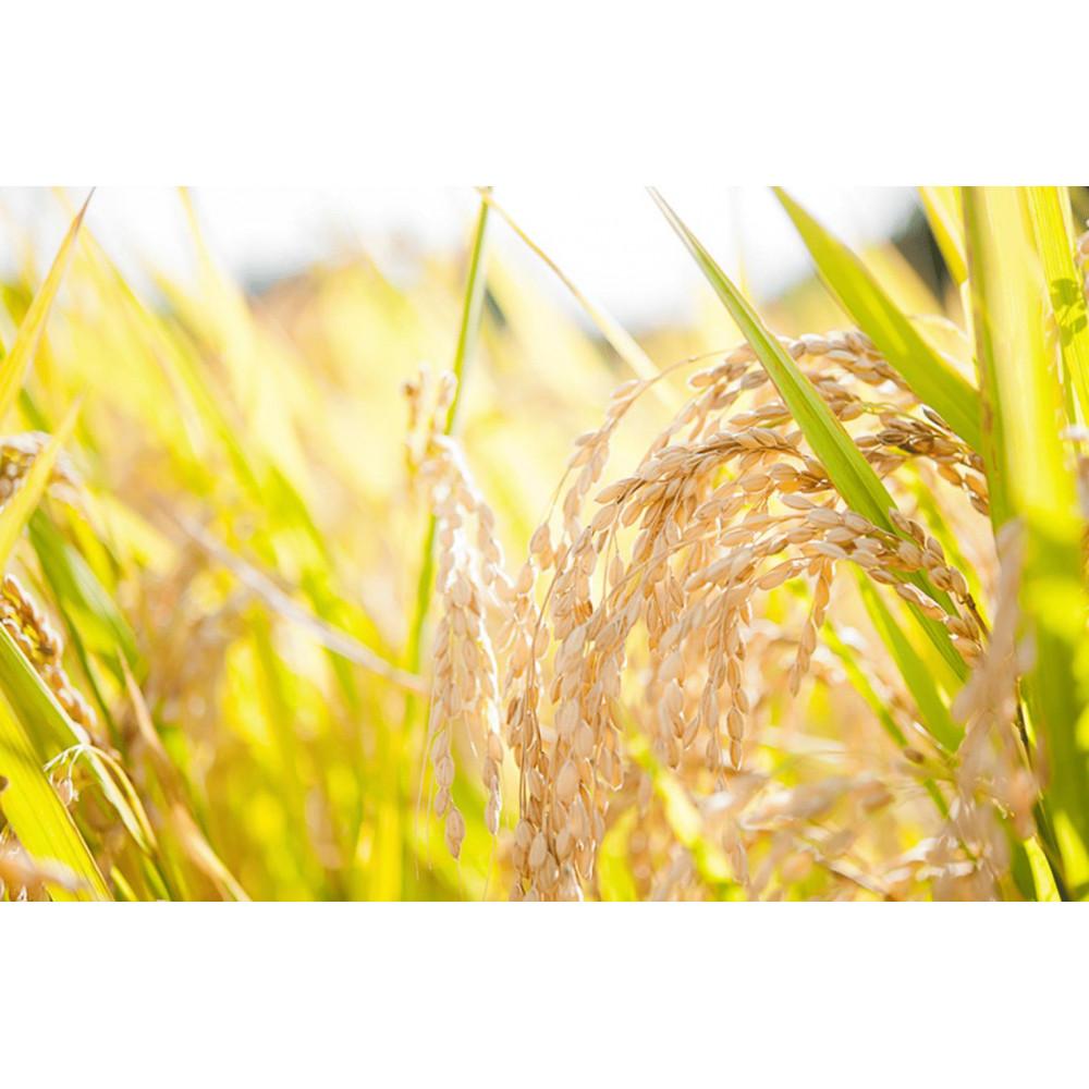 石川県能登町の画像3