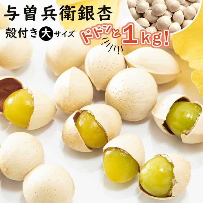 【ふるさと納税】【復興支援】奥能登産 銀杏 (殻付き) サイズ：大 1.0kg | 石川県 能登町 石川 能登 石川県能登町 ふるさと 納税 支援 支援品 返礼 食べ物 グルメ お取り寄せグルメ ご当地 ご当地グルメ 銀杏 ぎんなん 特産品 名産 特産 ギンナン 茶碗蒸し 炊き込みご飯のサムネイル