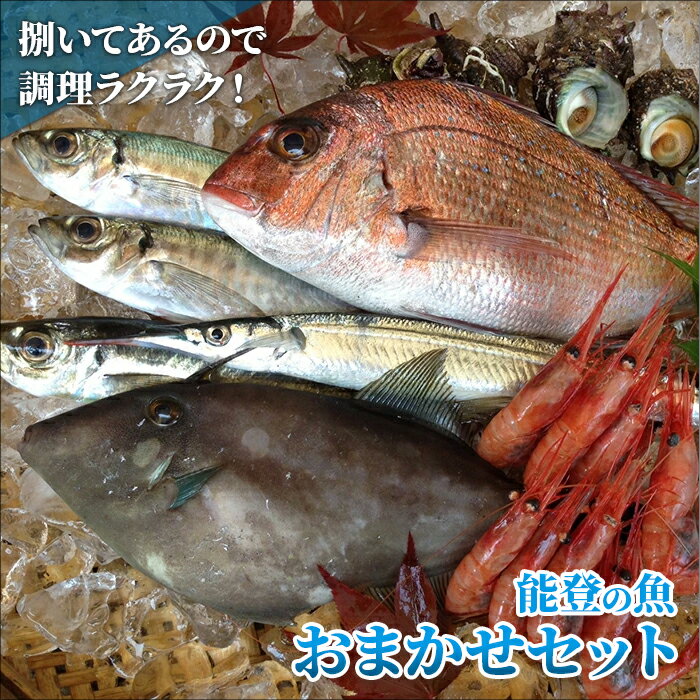 【ふるさと納税】魚 詰め合わせ 2〜3人前 下処理済 刺身 焼魚 ギフト セット お取り寄せ グルメ 魚介 鮮魚 海鮮 海の幸 【北海道・沖縄配送不可】