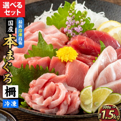 まぐろ マグロ 鮪 本マグロ 本まぐろ 刺身用 お刺身 柵どり 300g 500g 赤身 中トロ 大トロ まぐろ丼 国産 冷凍 送料無料 / 【最新鋭の冷凍技術 刺身用】選べる本まぐろ（柵どり）[A-107004]