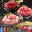 【ふるさと納税】マグロ 鮪 本マグロ プロトン冷凍 濃厚 赤身 ヘルシー 鮮魚 刺身 希少部位 魚貝 海鮮 国産 計900g 送料無料 / 本まぐろセット 大ト...