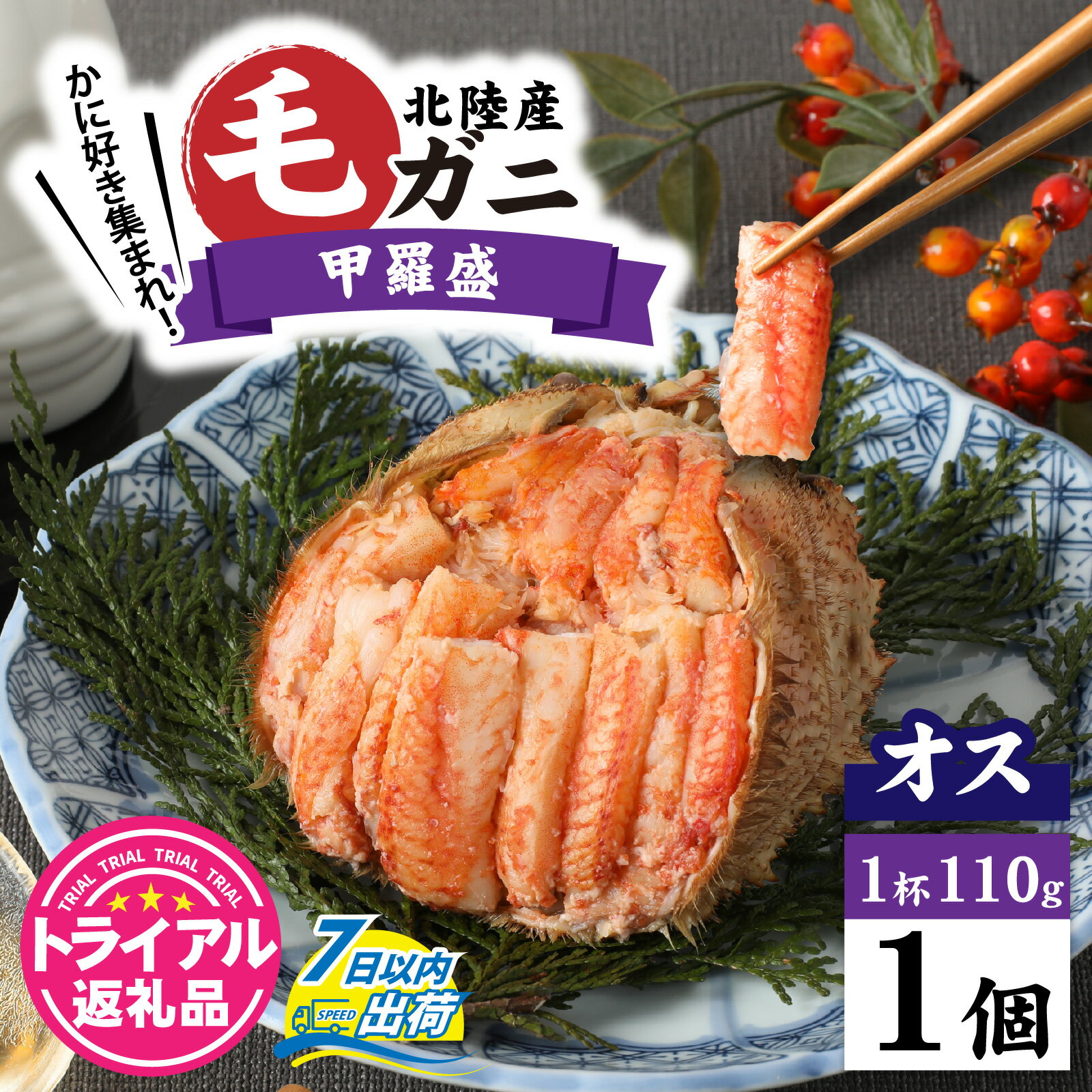 [トライアル返礼品]蟹好き集まれ!北陸産オス毛ガニ 甲羅盛[オス甲羅盛110g前後][訳あり] [A-096007] / ケガニ ゆで 茹で 茹でがに ボイル 甲羅盛 甲羅盛り 北陸産 石川 かに ガニ 蟹 専門店 冷凍 手軽 かに酢 カニ 国産 メス オス 雌 雄 訳アリ