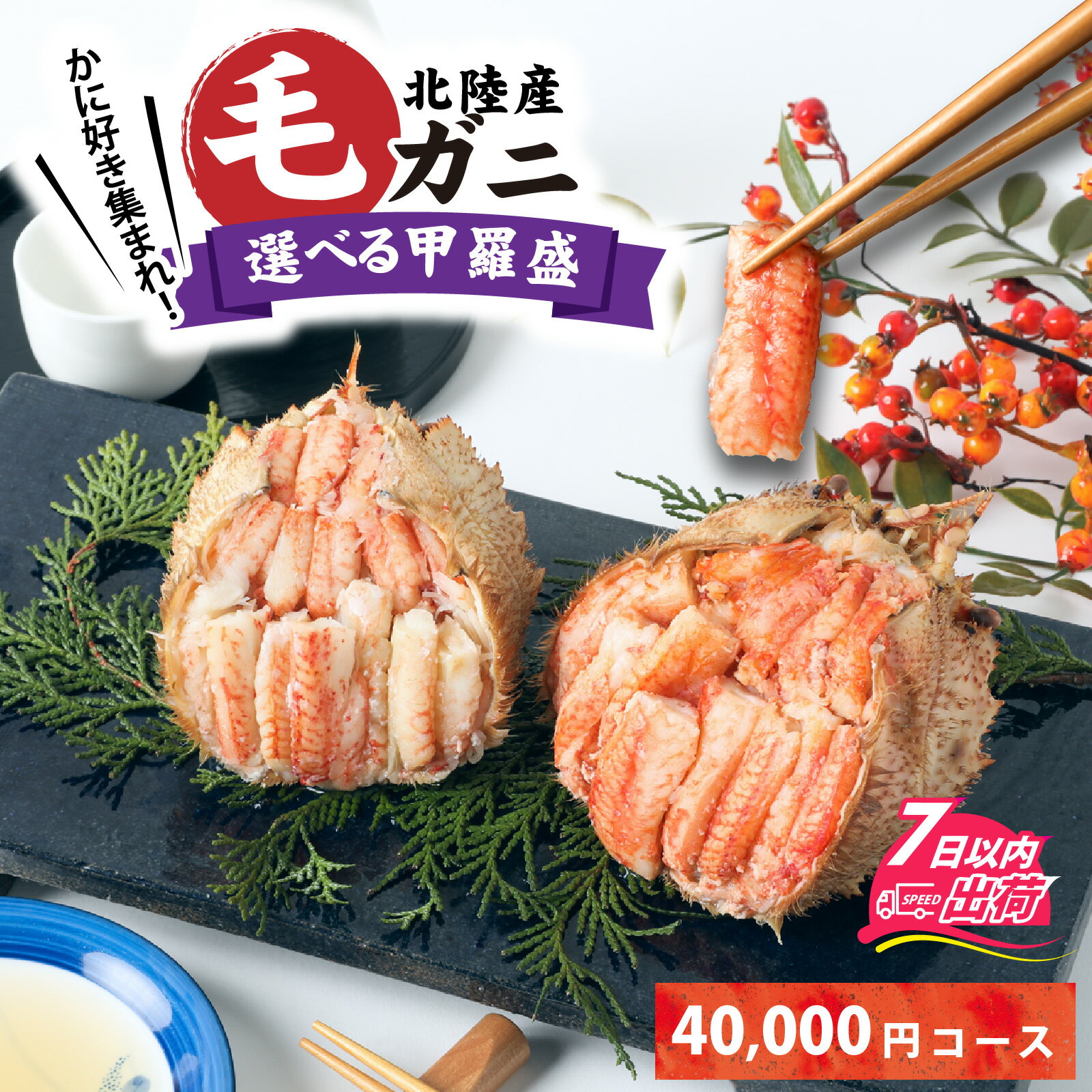 【ふるさと納税】【訳あり】蟹好き集まれ!選べる北陸産毛ガニ 甲羅盛セット【40,000円コース】/ ケガニ ゆで 茹で 茹でがに ボイル 甲羅盛 甲羅盛り 北陸...