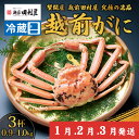 【ふるさと納税】 【蟹問屋 越前田村屋 究極の逸品】越前がに（ズワイ） 0.9-1.0kg 3杯セット 【1月10日から3月16日発送まで】/ 越前かに ずわいがに ずわい蟹 ズワイ蟹 かに カニ 蟹 かにみそ 冷蔵 グルメ 国産 送料無料 [P-029062]