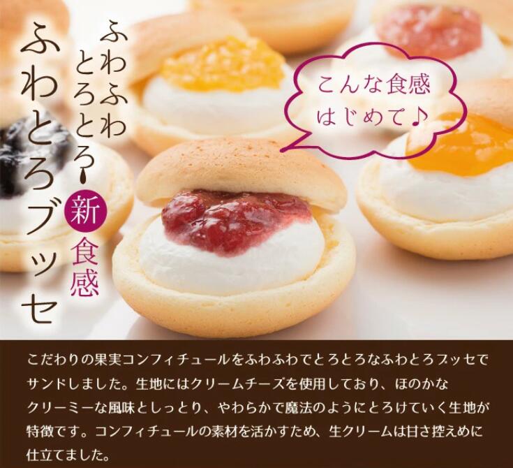 【ふるさと納税】ふわとろブッセ10個入り(5種×各2個 / 洋菓子 スイーツ 甘さ控えめ 福井県産 フルーツ フルーツギフト クリームチーズ チーズ風味 5種 ...