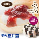 【ふるさと納税】ふわとろカスタード10個入り(5種×各2個) / 洋菓子 ブッセ デザート スイーツ 福井県産 フルーツ フルーツギフト カスタードクリーム ク...