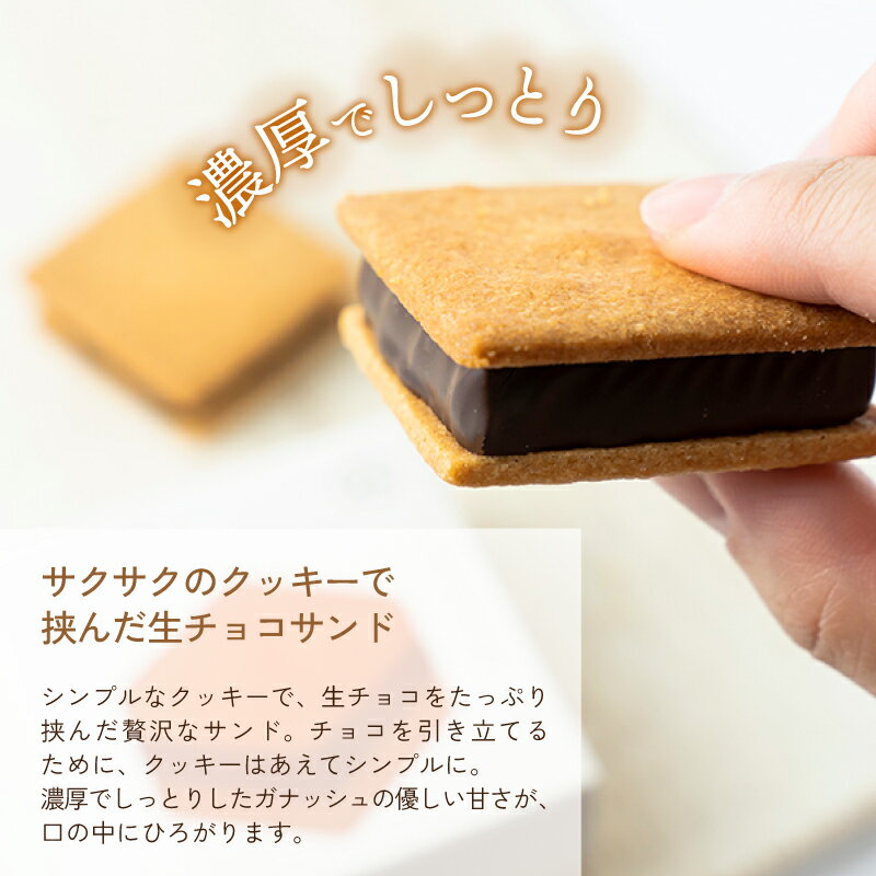 【ふるさと納税】母の日 生チョコレート チョコサンド 老舗 焼菓子 焼き菓子 洋菓子 クッキー カカオ 生菓子 分厚い プレゼント 冷蔵配送 送料無料 /【山奥チョコレート 日和】 生チョコサンド 10個入 [A-026001]