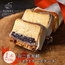 ベイクドチーズケーキ 【ふるさと納税】母の日 チーズケーキ 高級スイーツ 羽二重餅 冷凍ケーキ あんこ スイーツ ギフト おしゃれ 絶品 洋菓子 高級 お取り寄せスイーツ ラニーチーズ RUNNYCHEESE ラニーチーズ 送料無料 / 羽二重光絹ベイクドチーズケーキ [A-094001]