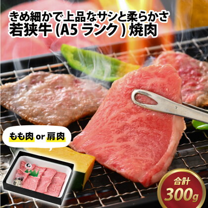 若狭牛 (A5ランク) 焼肉 300g / 牛肉 A5ランク 焼肉 お取り寄せ 黒毛和種 もも肉 肩肉 冷凍 1パック 小分け 送料無料 [A-022005]