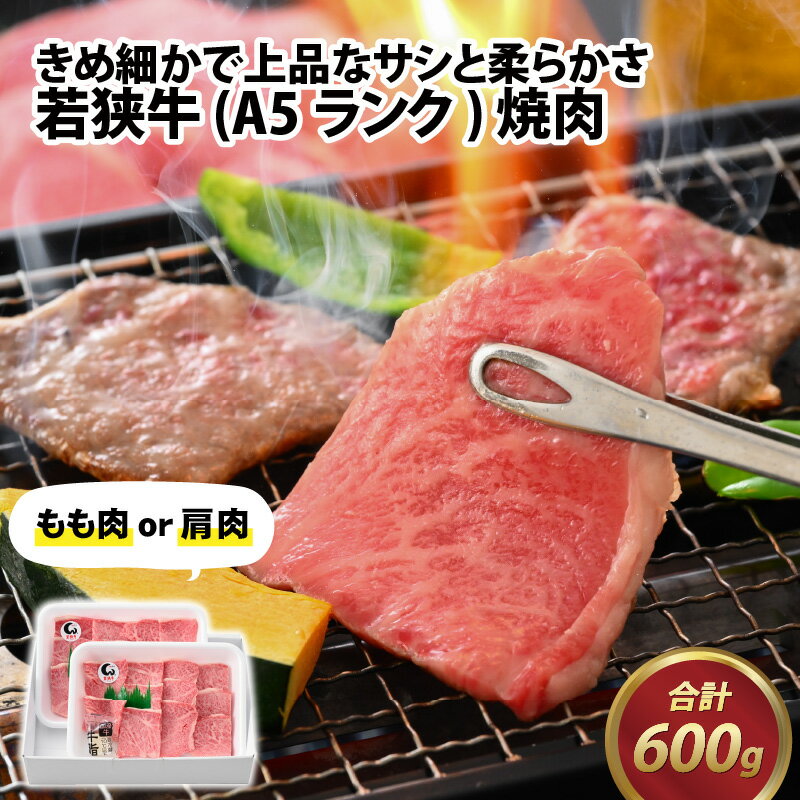 若狭牛 (A5ランク) 焼肉 合計600g(300g×2パック) / 牛肉 A5ランク 焼肉 お取り寄せ 黒毛和種 もも肉 肩肉 冷凍 2パック 小分け 送料無料 [B-022010]