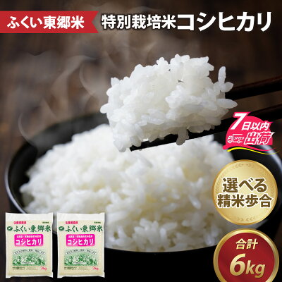 楽天ふるさと納税　【ふるさと納税】令和5年産 ふくい東郷米 特別栽培米 減農薬コシヒカリ 3kg×2袋 / 有機適合肥料100% 真空パック 低温精米 もっちり 甘い 安全 米 こしひかり 国産 福井県 福井市 東郷 無洗米 玄米 白米 精米【A-020008】