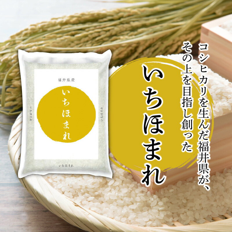 【ふるさと納税】 福井県産いちほまれ 10kg / 米 お米 コメ いちほまれ 送料無料[A-030006]