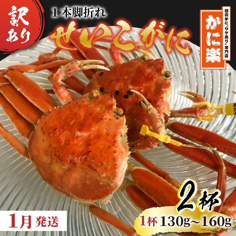 【ふるさと納税】【かに楽】かに酢つき！わけありせいこがに130～160g×2杯【1月発送分】