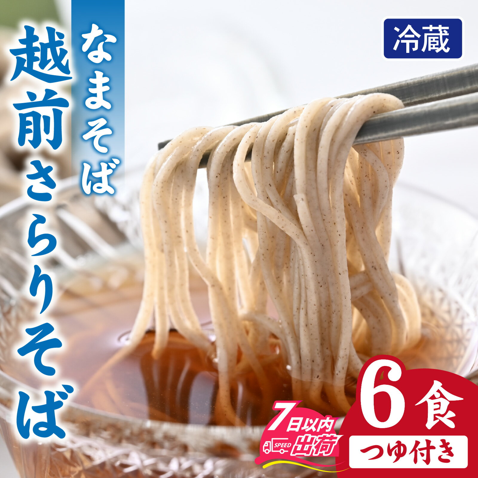 越前さらりそば(なまそば)6食 そばつゆ付き / 越前そば そば 蕎麦 ソバ 冷蔵 送料無料 [A-146002]