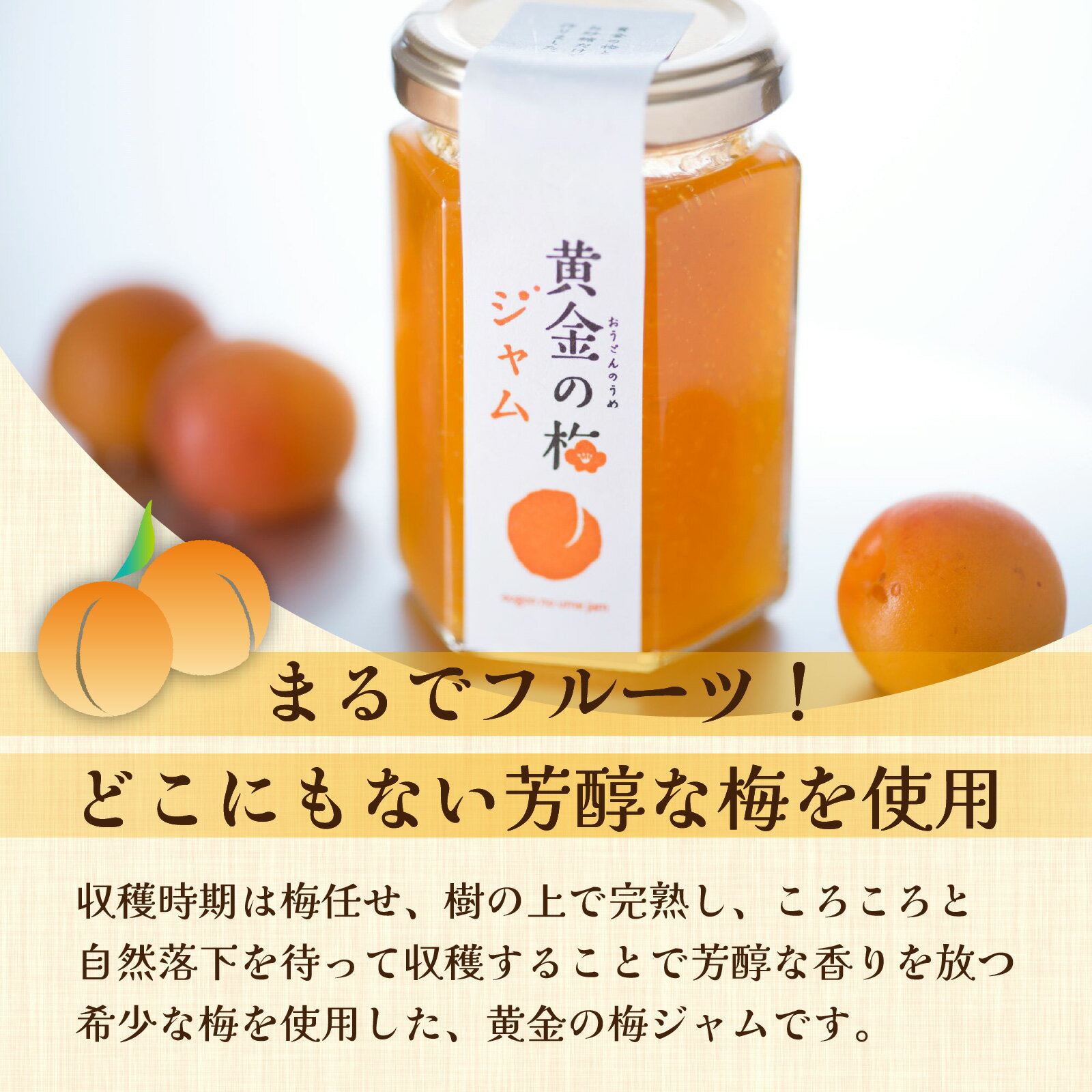 【ふるさと納税】まるでフルーツ！希少な梅から「黄金の梅ジャム」12本 [D-178001] / 加工品 調味料 ジャム 季節ジャム パン ジャムティー ヨーグルト 料理 手造り 詰合せ お取り寄せ 送料無料